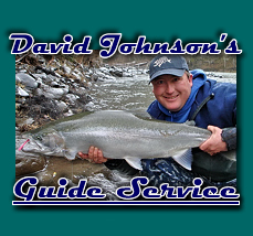 David Johnson Fishing, David Johnson's guide service, tillamook bay fall chinook salmon, salmon & steelhead fishing trips, wilson river, trask river, columbia river, clackamas river, sandy river, side drifting, oregon fishing, willamete river spring chinook
