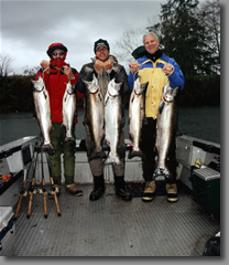 Limits of chinook salmon